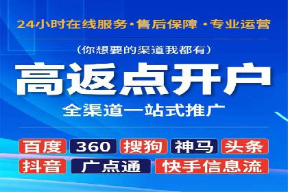 百度广告竞价之成功案例：某行业领军企业的崛起之路